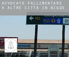 Avvocato fallimentare a  Altre città in Nigde