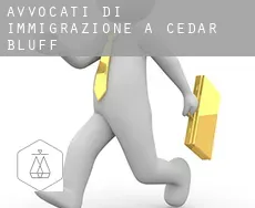 Avvocati di immigrazione a  Cedar Bluff