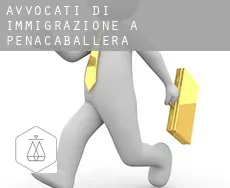 Avvocati di immigrazione a  Peñacaballera
