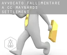 Avvocato fallimentare a  CC Maynards Settlement
