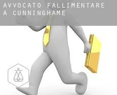 Avvocato fallimentare a  Cunninghame
