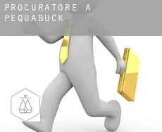 Procuratore a  Pequabuck