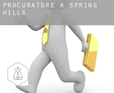 Procuratore a  Spring Hills