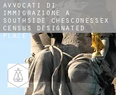 Avvocati di immigrazione a  Southside Chesconessex