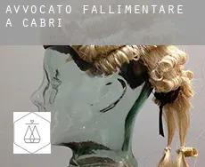 Avvocato fallimentare a  Cabri