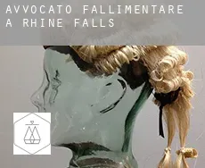 Avvocato fallimentare a Rhine Falls