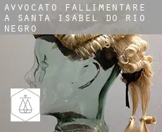 Avvocato fallimentare a  Santa Isabel do Rio Negro