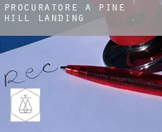 Procuratore a  Pine Hill Landing