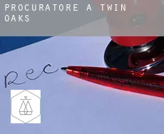 Procuratore a  Twin Oaks