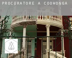 Procuratore a  Coowonga