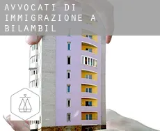 Avvocati di immigrazione a  Bilambil