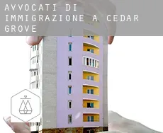 Avvocati di immigrazione a  Cedar Grove