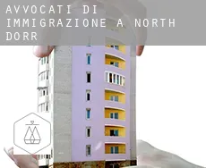 Avvocati di immigrazione a  North Dorr