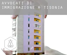 Avvocati di immigrazione a  Tisonia