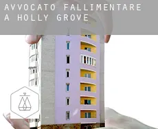 Avvocato fallimentare a  Holly Grove