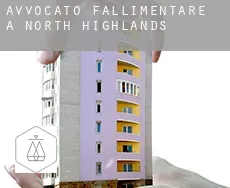 Avvocato fallimentare a  North Highlands