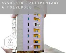 Avvocato fallimentare a  Polveroso