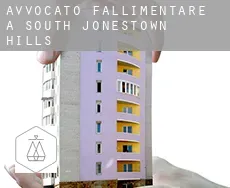 Avvocato fallimentare a  South Jonestown Hills