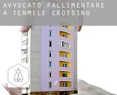 Avvocato fallimentare a  Tenmile Crossing