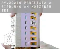 Avvocato penalista a  Siedlung am Motzener See
