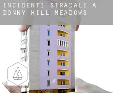 Incidenti stradali a  Donny Hill Meadows
