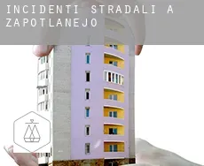 Incidenti stradali a  Zapotlanejo
