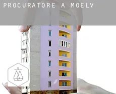 Procuratore a  Moelv