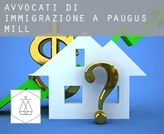 Avvocati di immigrazione a  Paugus Mill