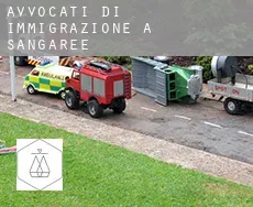 Avvocati di immigrazione a  Sangaree