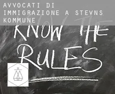 Avvocati di immigrazione a Stevns Kommune