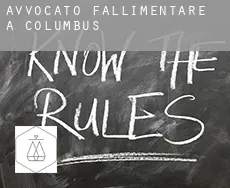 Avvocato fallimentare a  Columbus