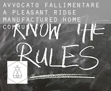 Avvocato fallimentare a Pleasant Ridge Manufactured Home Community