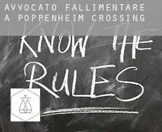 Avvocato fallimentare a  Poppenheim Crossing