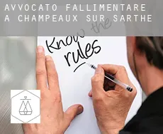 Avvocato fallimentare a Champeaux-sur-Sarthe