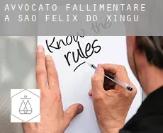 Avvocato fallimentare a  São Félix do Xingu