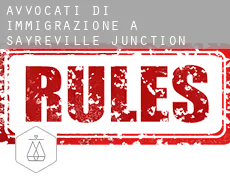 Avvocati di immigrazione a  Sayreville Junction