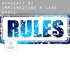 Avvocati di immigrazione a  Lake Grove