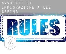 Avvocati di immigrazione a  Lee Spring