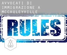 Avvocati di immigrazione a  McCauleyville