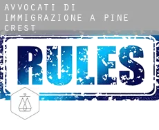 Avvocati di immigrazione a Pine Crest