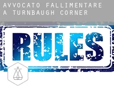 Avvocato fallimentare a  Turnbaugh Corner