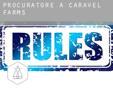 Procuratore a  Caravel Farms