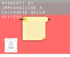 Avvocati di immigrazione a Calvagese della Riviera