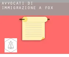 Avvocati di immigrazione a  Fox