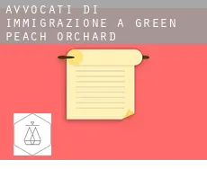 Avvocati di immigrazione a Green Peach Orchard