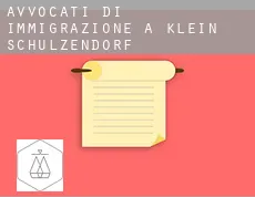 Avvocati di immigrazione a  Klein Schulzendorf