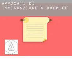 Avvocati di immigrazione a  Křepice