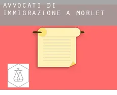 Avvocati di immigrazione a  Morlet