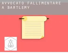 Avvocato fallimentare a  Bartlemy