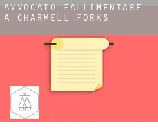 Avvocato fallimentare a  Charwell Forks
